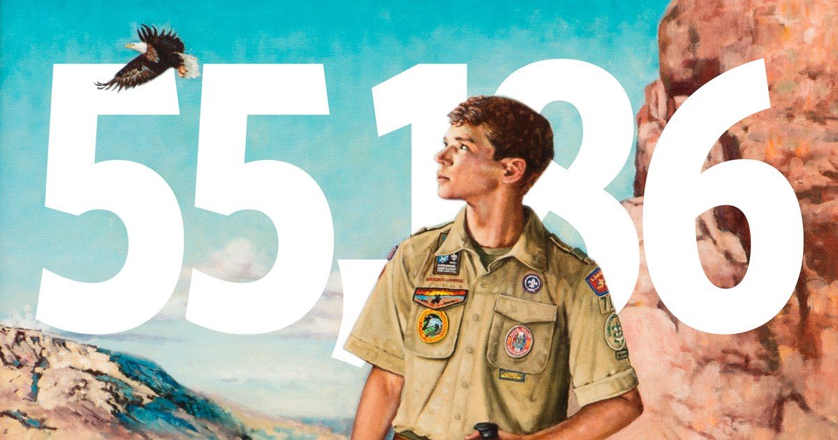 2016-Eagle-Scout-numbers